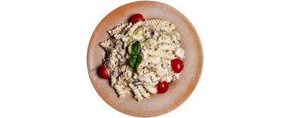 MALFREDDO (pasta sa pilećim mesom) 450g