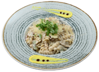 Alfredo